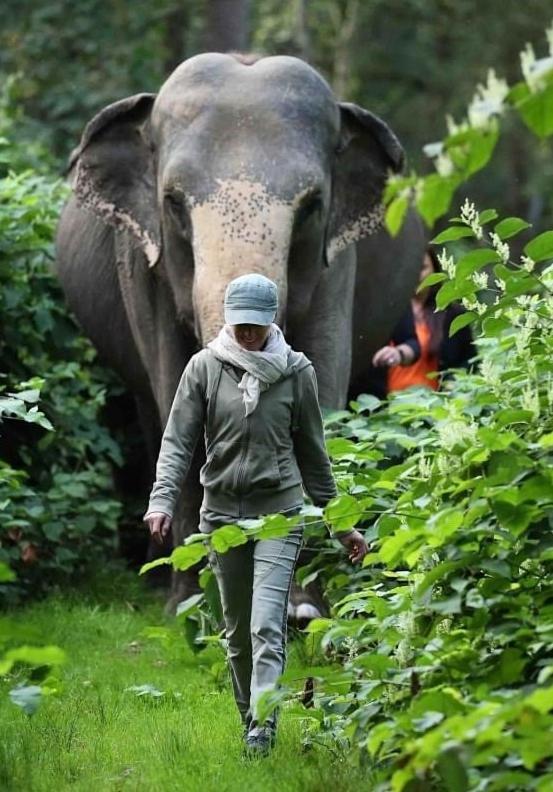 Tierpark Entdeckerhaeuser Wagenfeld Dış mekan fotoğraf